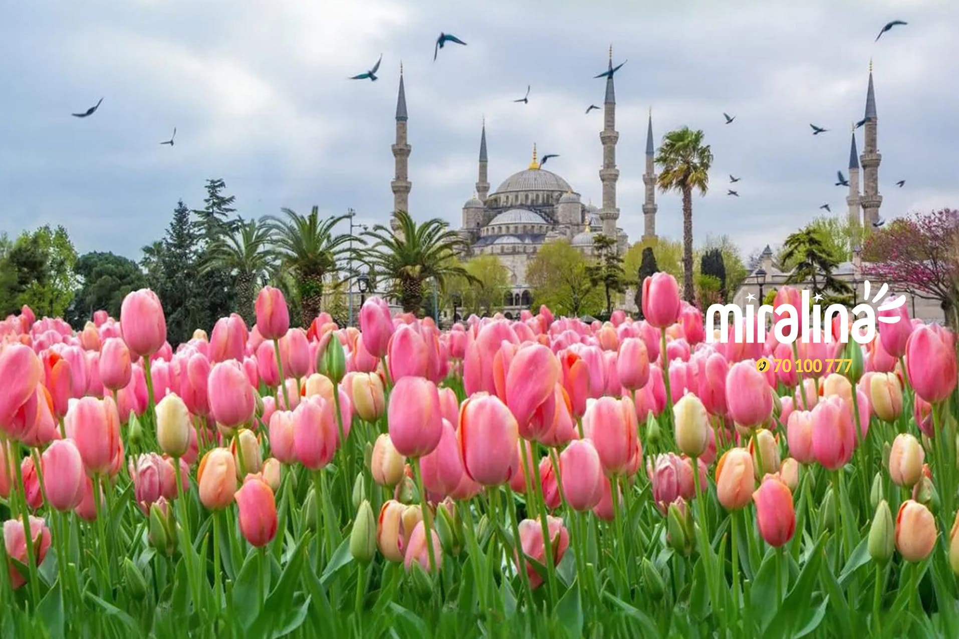 Départ  Istanbul 8 Jours